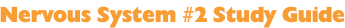 Nervous System #2 Study Guide